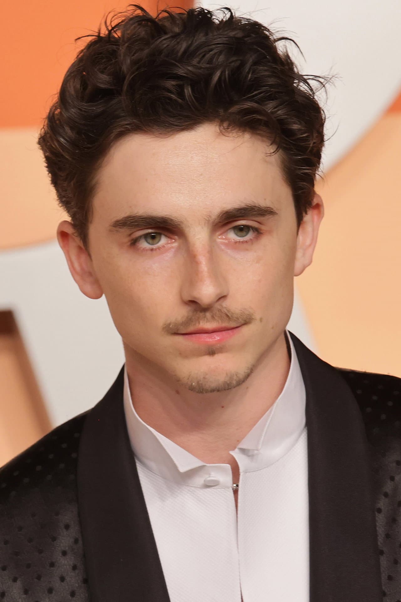Timothee Chalamet portrait — career breakdown 2026